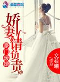 豪门暖妻之老婆请负责