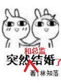 突然和总监结婚了番外全txt