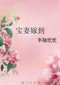 宝妻著