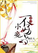 喜获萌宝王爷小妾不好当