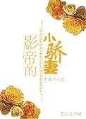 影帝的娇妻小哥