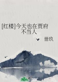 红楼今天也在贾府不当人免费阅读