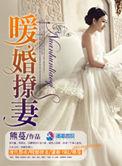 暧婚甜入骨免费阅读全文