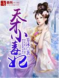 天才小毒妃中龙非夜和芸汐几时圆房