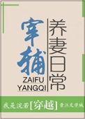 宰辅养妻日常我是浣若