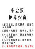 小金蛋旗舰店