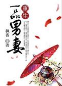 重生一品男妻讲的什么故事