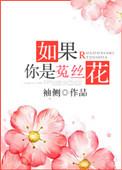 如果你是菟丝花2部目录