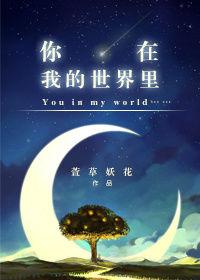 你在我的世界里结局什么意思