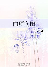 曲向阳个人概述