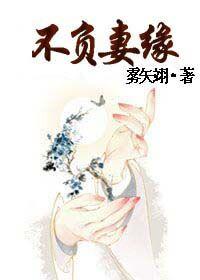 不负妻缘雾矢翊TXT