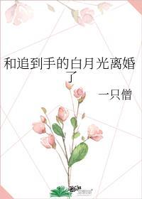 离婚后我发现那人竟是他的白月光