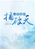 一不小心捅破天简介