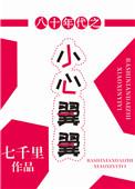 八十年代之小心翼翼全文免费