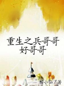 重生之兵哥哥好哥哥TXT