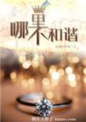 不和谐的含义