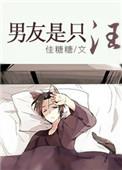男友是只猫动漫