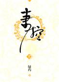妻控讲的是什么