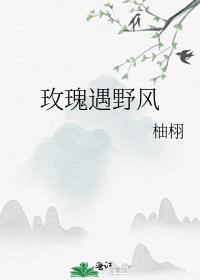 玫瑰遇野风全文阅读无弹窗