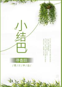 小结巴 金大力txt