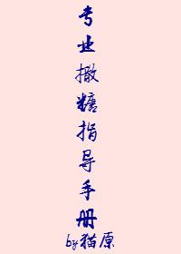 专业撒糖指导手册免费