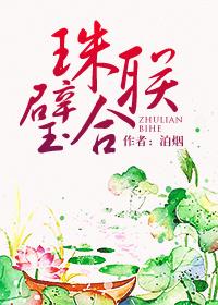 珠联璧合泊烟完整版