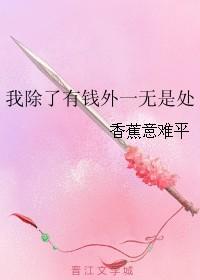 除了钱我一无所有txt