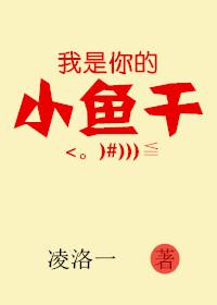 我是小鱼儿歌词