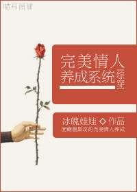 完美情人番外