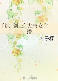 大唐风月剑三