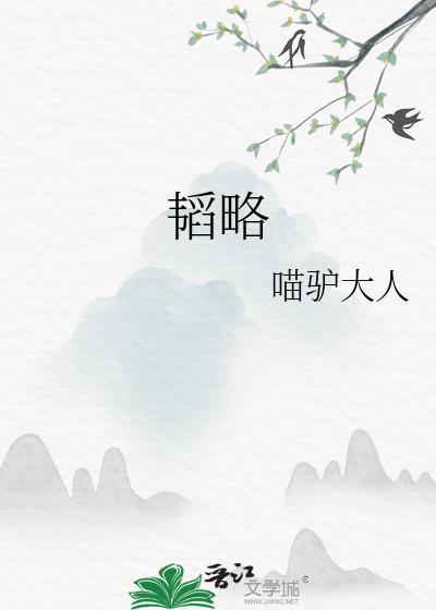 韬略喵驴大人