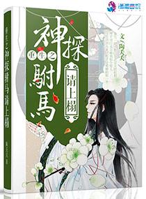 神探驸马请接嫁 电视剧