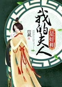 我的夫人女主角