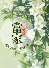 农媳当家最新章节