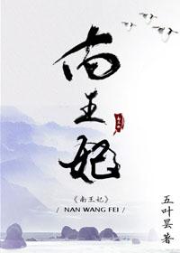 南王妃全文阅读