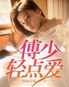 傅少宠
