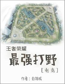 王者公认十大最强打野