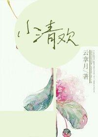 小清欢全文在线阅读免费完整版