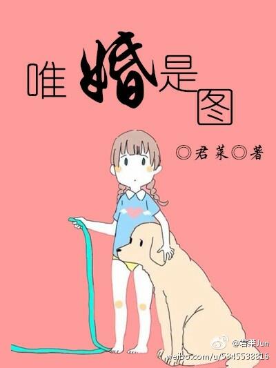唯婚作者时非晚