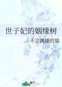 世子妃是什么