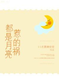 都是月亮惹的祸歌词完整版