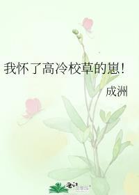 怀了校草的崽后被全校知道了txt
