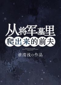 从将军到阶下囚