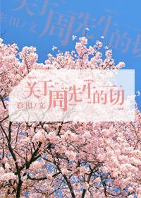 周先生的一切原著叫什么