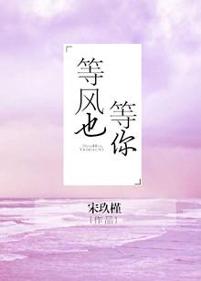 等风也等你歌曲