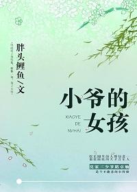 小爷是哪个电视剧