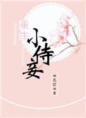 重生小妾爽文