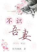 吾不识青天高暗示什么