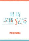 眼精是什么意思