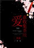 爱意收集系统全文
